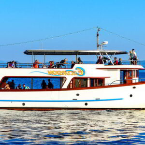 Frane Bol excursion boat